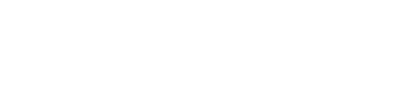 Brand Igniter